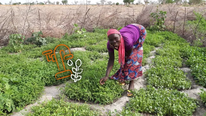 Aissatou Erfolgsgeschichte