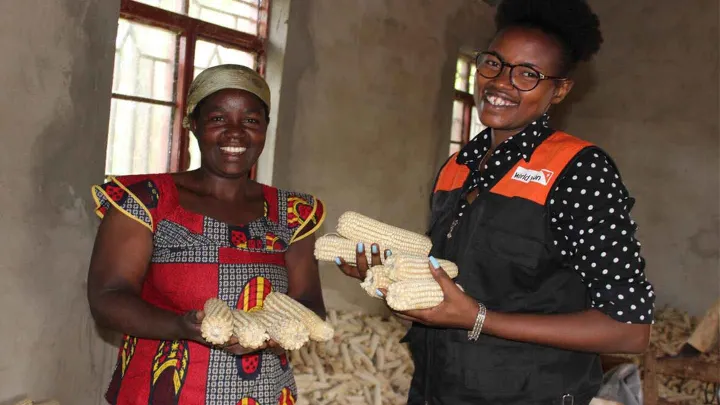  Illuminee in eigenem Unternehmen