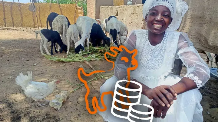 Erfolgsgeschichte 1 Bild