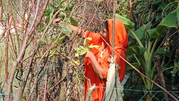 Garten Erfolgsgeschichte Bangladesh