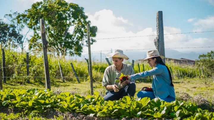 Lebensmittel Honduras
