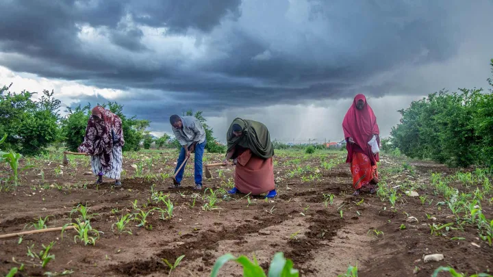 Schulung zu landwirtschaftlichen Praktiken