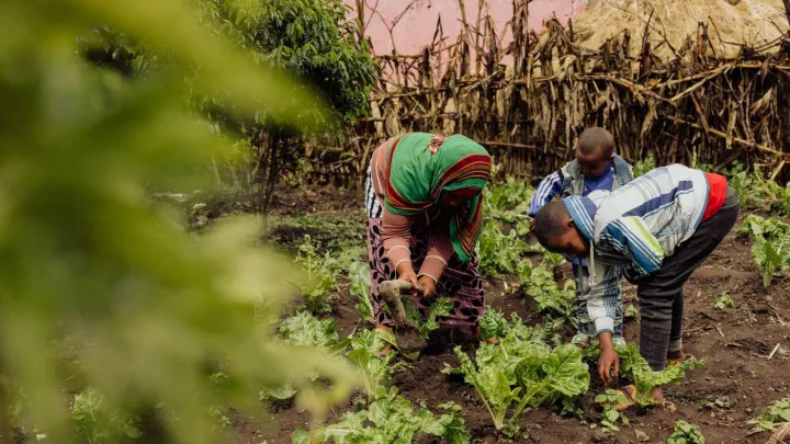 Äthiopien, Mensurs Erfolgsgeschichte