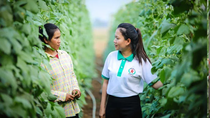 Eine Agrarexpertin der lokalen Wattanak Pheap Organization unterstützt die Familie bei der Umsetzung neuer Anbaumethoden. 