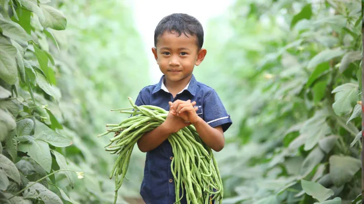 Für Chantreas Kinder sind die Bohnen nicht nur lecker und gesund. Mit dem verbesserten Einkommen können ihre Eltern Schulmaterialien und Klamotten kaufen und auch für die Zukunft sparen. 