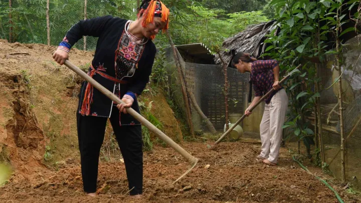 Bild Vietnam Maßnahmen