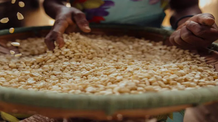 World Vision Mitarbeiter gibt Familie Nahrungsmittel aus