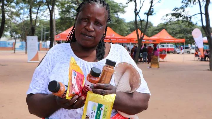 Erfolgsgeschichte Simbabwe