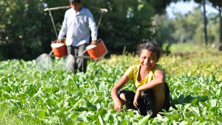 Kambodscha Ernährung