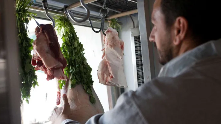 Hamids Erfolgsgeschichte Bild