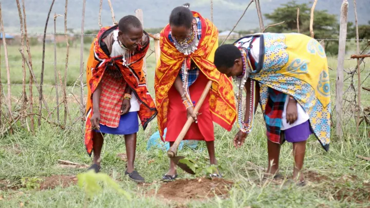 Erfolgsgeschichte Purity