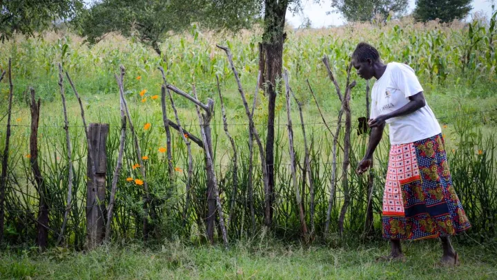 ERfolgsgeschichte Nancy Bild
