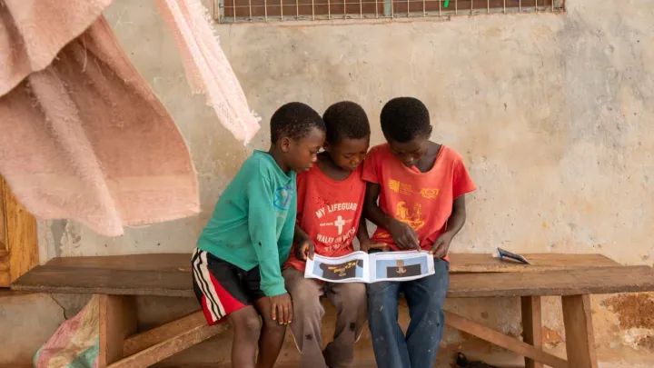 Erfolgsgeschichte Kakaoanbau