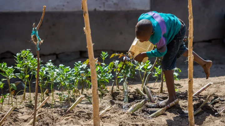 Kind pflanzt auf Feld