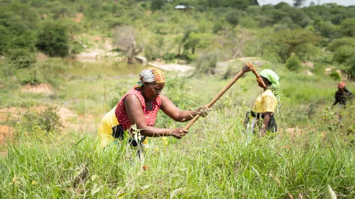 Frau arbeitet auf Feld in Magunga