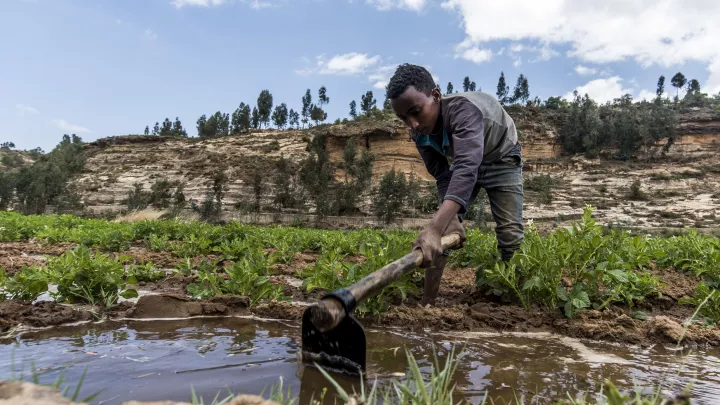 Umweltschutz in Äthiopien