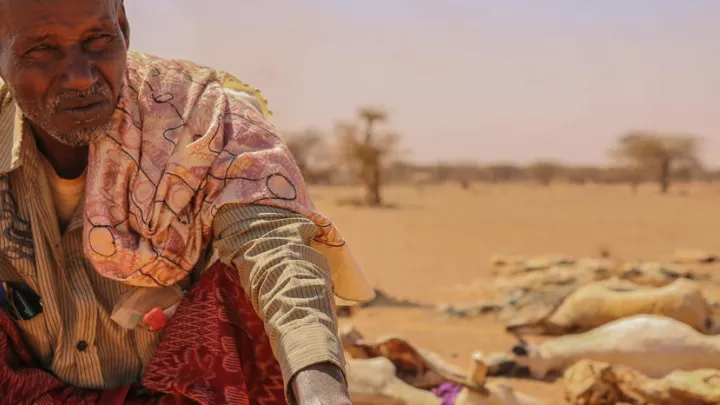 Hungersnot am Horn von Afrika