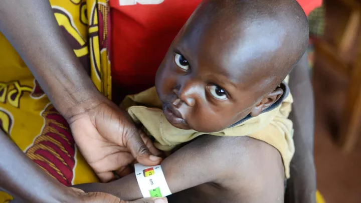 Burundi: Projektunterstützung durch EuropeAid