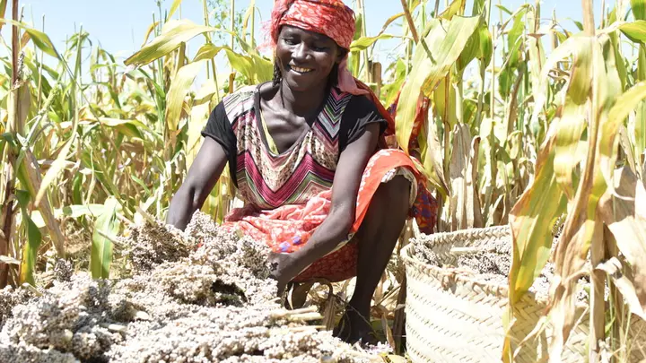 Das BMZ unterstützt ein Projekt das Familien hilft sich richtig zu ernähren