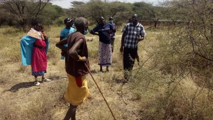 Die Wüstenheuschrecken haben große Teile der landwirtschaftlichen Produkte in Kenia zerstört