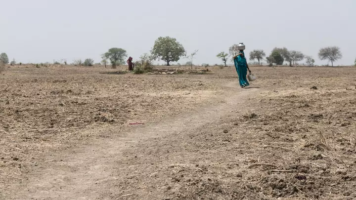 Gemeinsam mit dem BMZ stärkt World Vision die Lebensmittelversorgung in Indien
