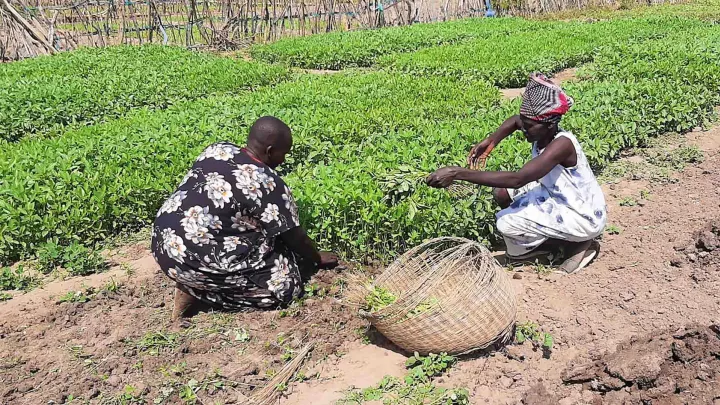 Gemeinsam mit der KFW Entwicklungsbank unterstützt World Vision die landwirtschaftliche Infrastruktur