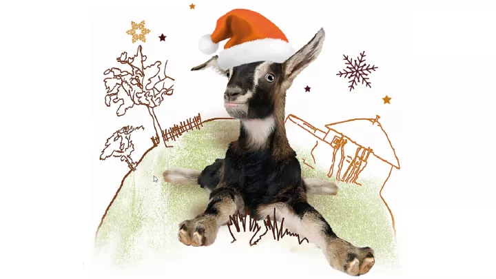 Weihnachtsziege