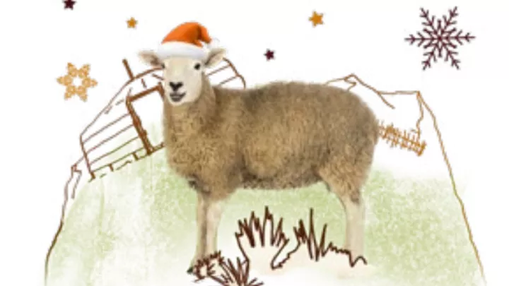 Weihnachtsschaf