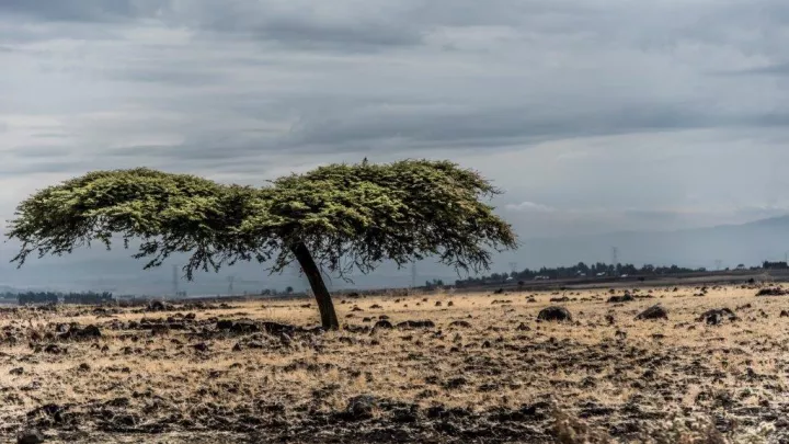 Dürre Äthiopien - Silas Koch