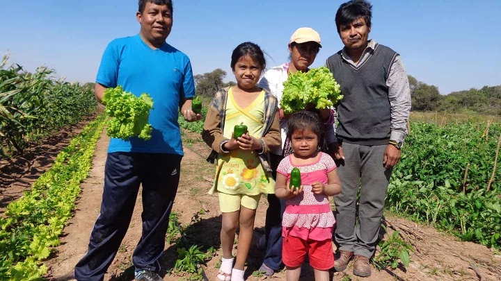 Familie auf ihrem Acker.