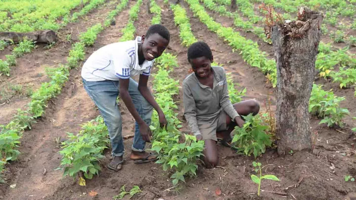 Jungen auf einem Feld in der Demokratischen Republik Kongo
