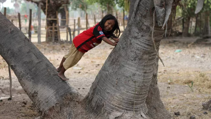 Jahresbericht 2017 Coverfoto