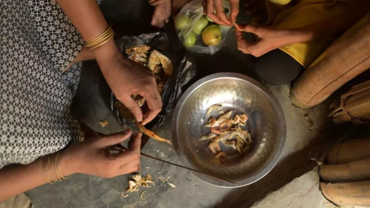 Viele Menschen in Not leiden unter den gekürzten Essensrationen