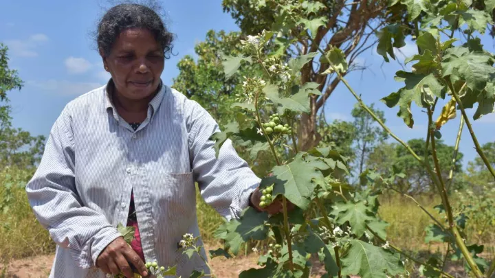Frau aud Sri Lanka in ihrem Garten 