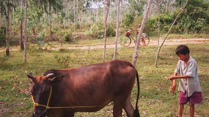 Projektübergabe in Ho-Chi-Minh-Stadt, Vietnam