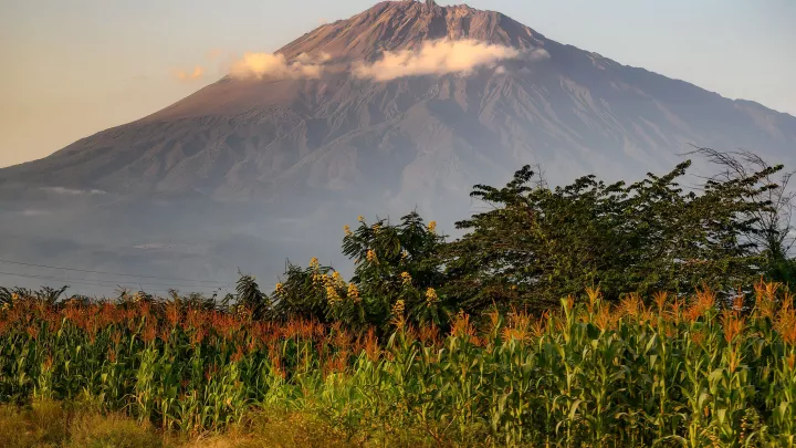 Klimawandel auf dem Kilimandscharo