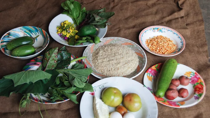 Zusammenstellung von Lebensmitteln für eine gesunde Mahlzeit in Bangladesch