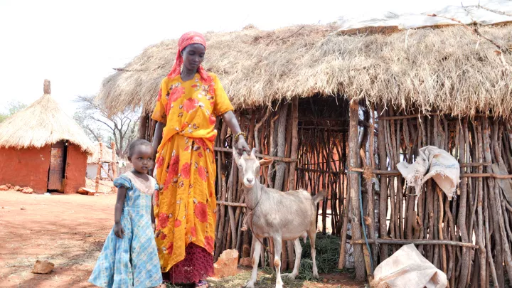 Kolowa Ziege Kenia World Vision