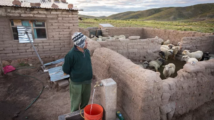 Schafzucht in Bolivien