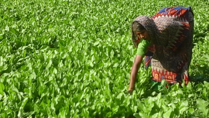 Gutes Geschenk Ziege_Ihre Hilfe in Bangladesch