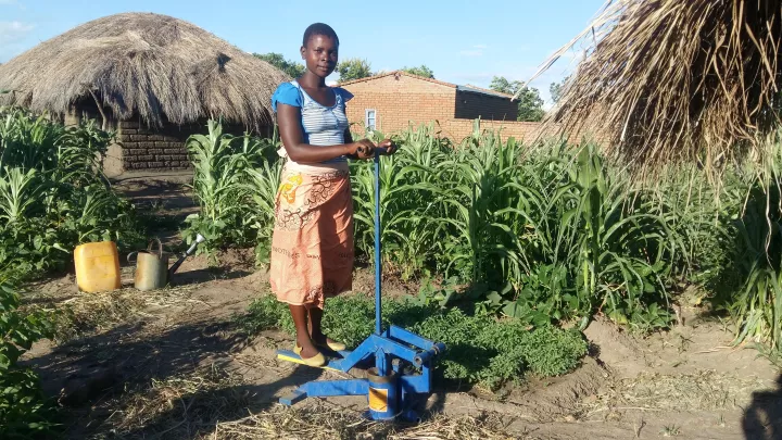 Tretpumpen zum bewässerten Anbau