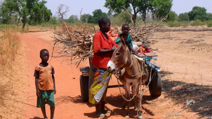 2006: Eselskarren in Kathiotte