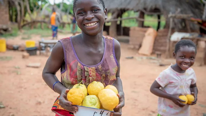 Mit Zitronen schmeckt das frische Wasser noch besser