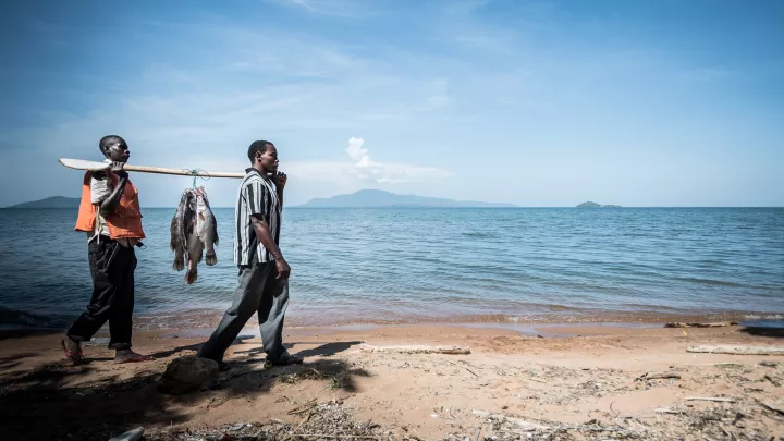 Fischer tragen Fische an einer Stange am Viktoriasee in Kania. Fotos: Steffen Kugler