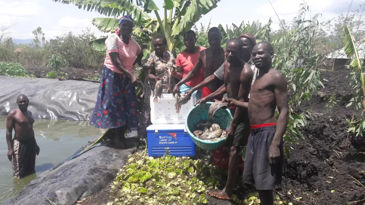 Fischzucht im World Vision-Projekt in Kenia