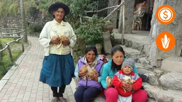 Projektpatenschaft Los Libertadores: Landwirtschaft und Einkommen