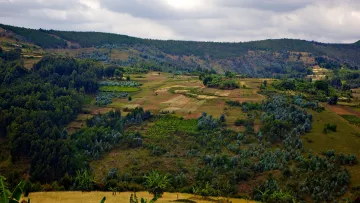 Landschaft in Burundi