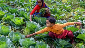 Das Gute Geschenk: Saatgut für eine gute Ernte