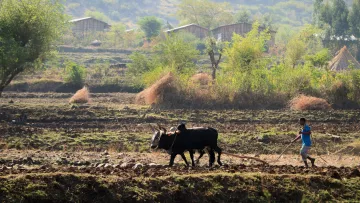 Bauer bei der Feldarbeit