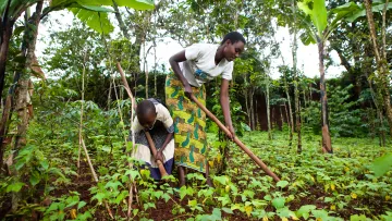 Tony Rinaudo erhält Alternativen Nobelpreis
